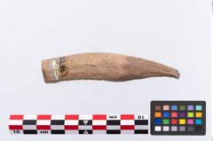 Foto von Beinmessergriffplatte (NHMW-PRAE-002296)